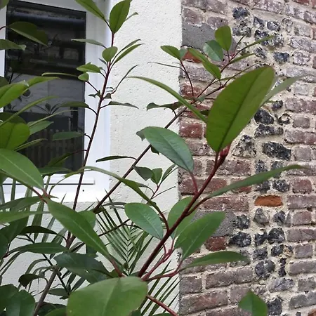 Le Hwell 度假居